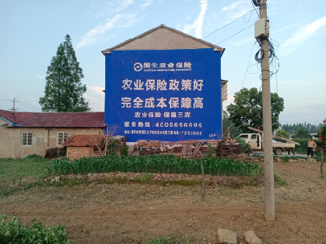 西昌墙体广告为何受追捧？